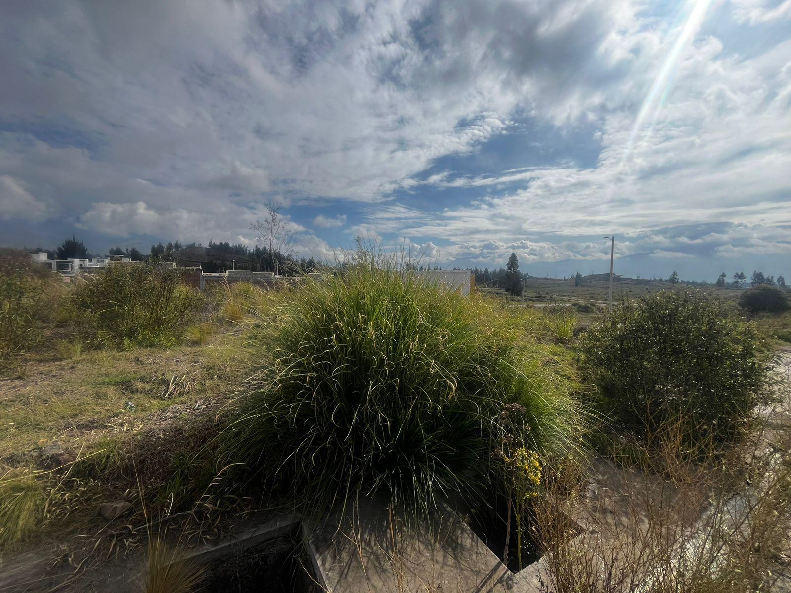 TERRENO EN CIUDAD BALBOA