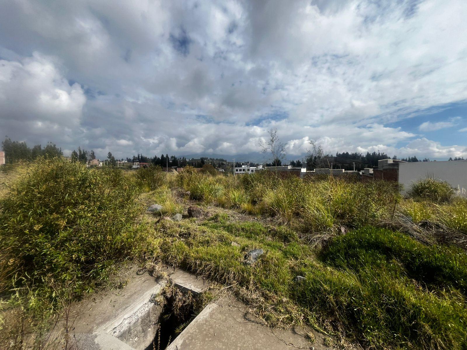 TERRENO EN CIUDAD BALBOA