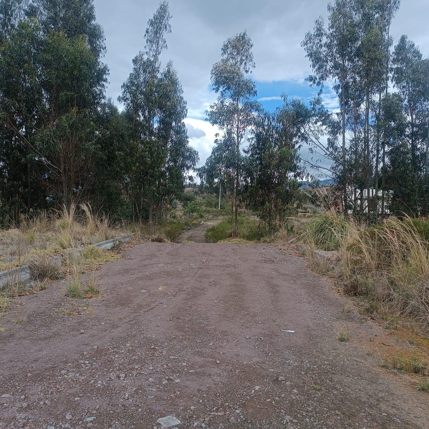 TERRENO EN VENTA