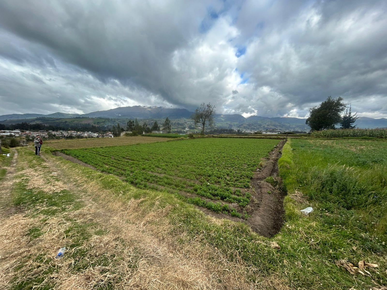 TERRENO AGRÍCOLA EN VENTA